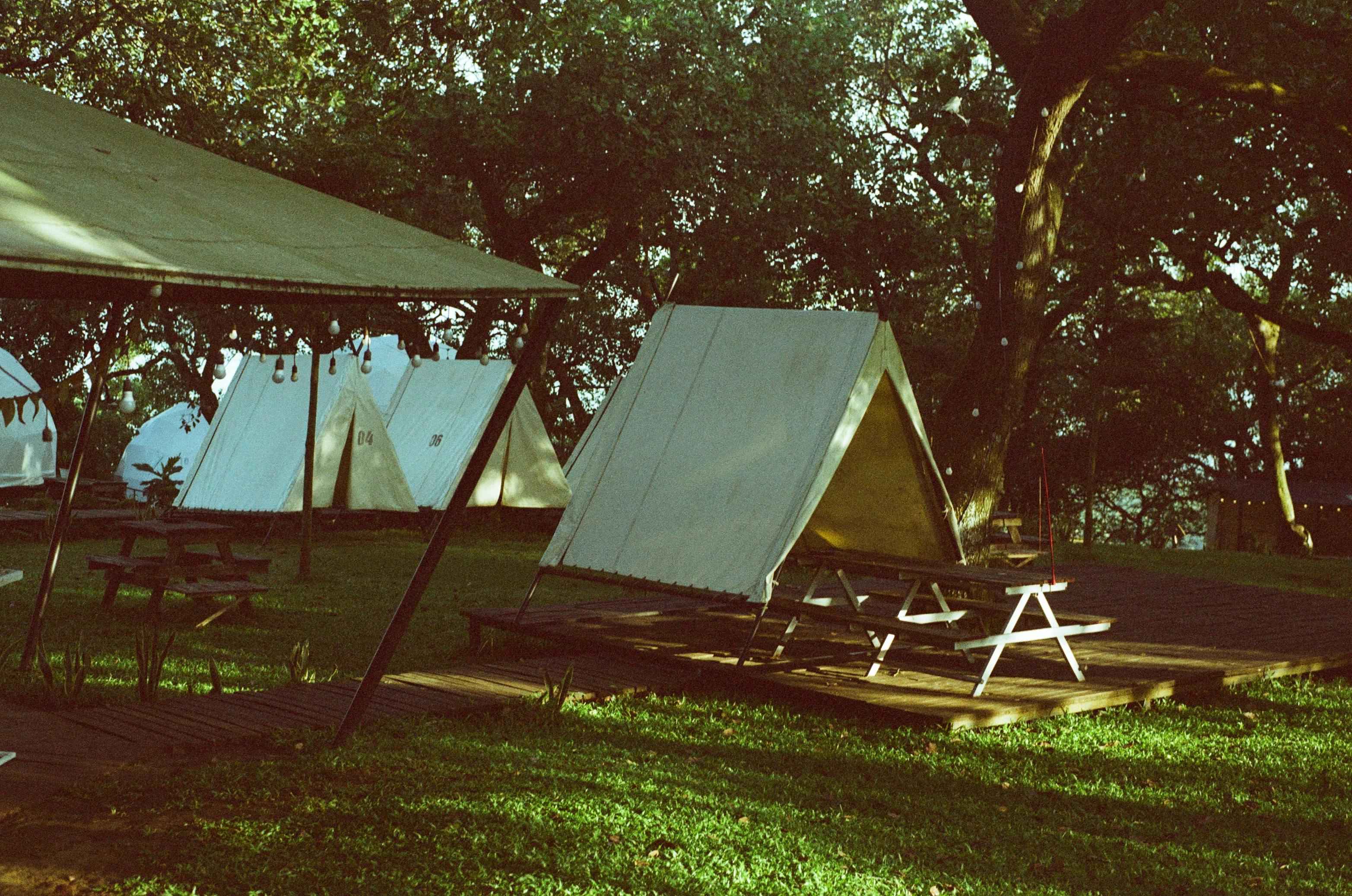 Camping in the Wild