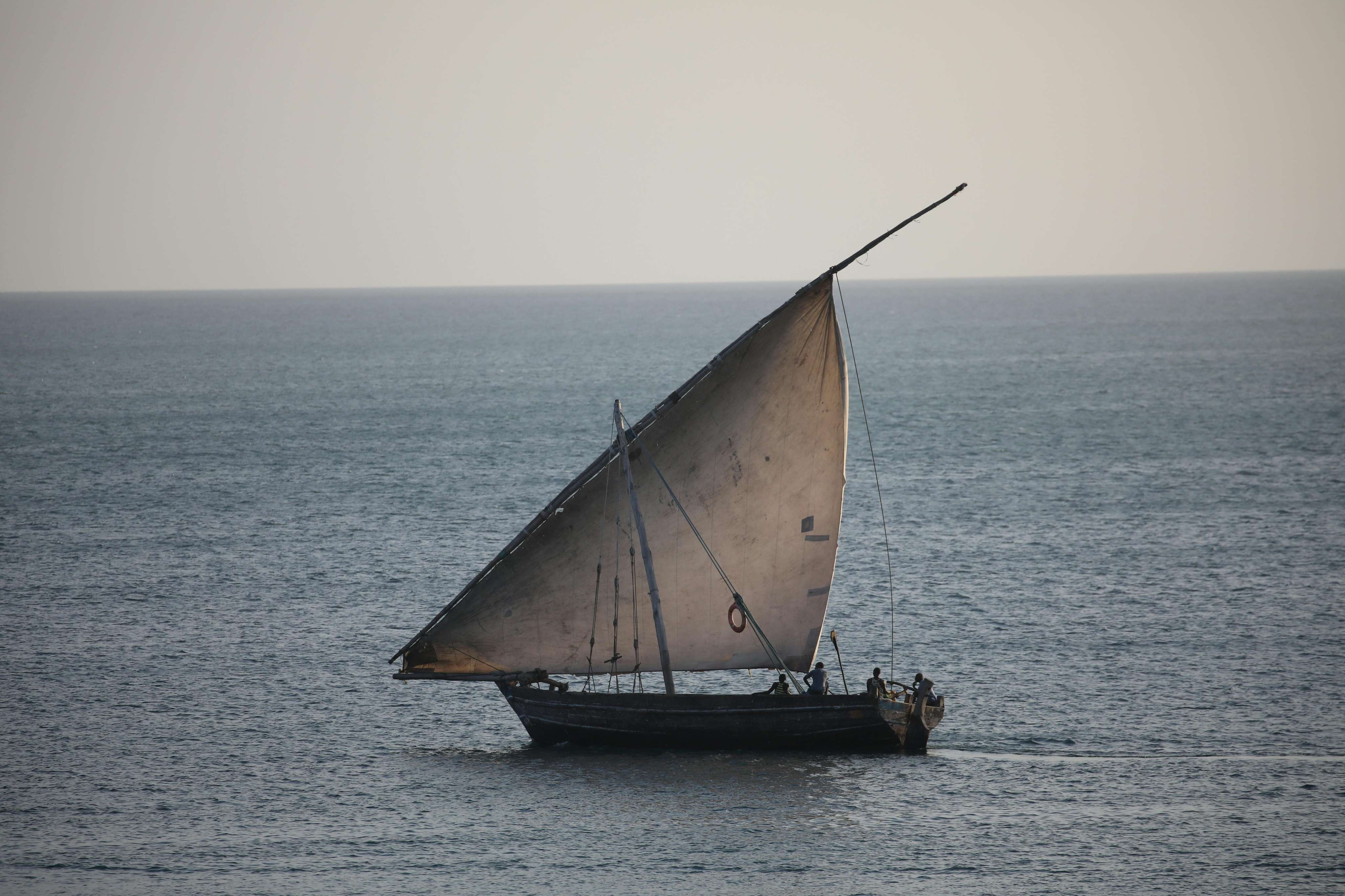Dhow Sailing