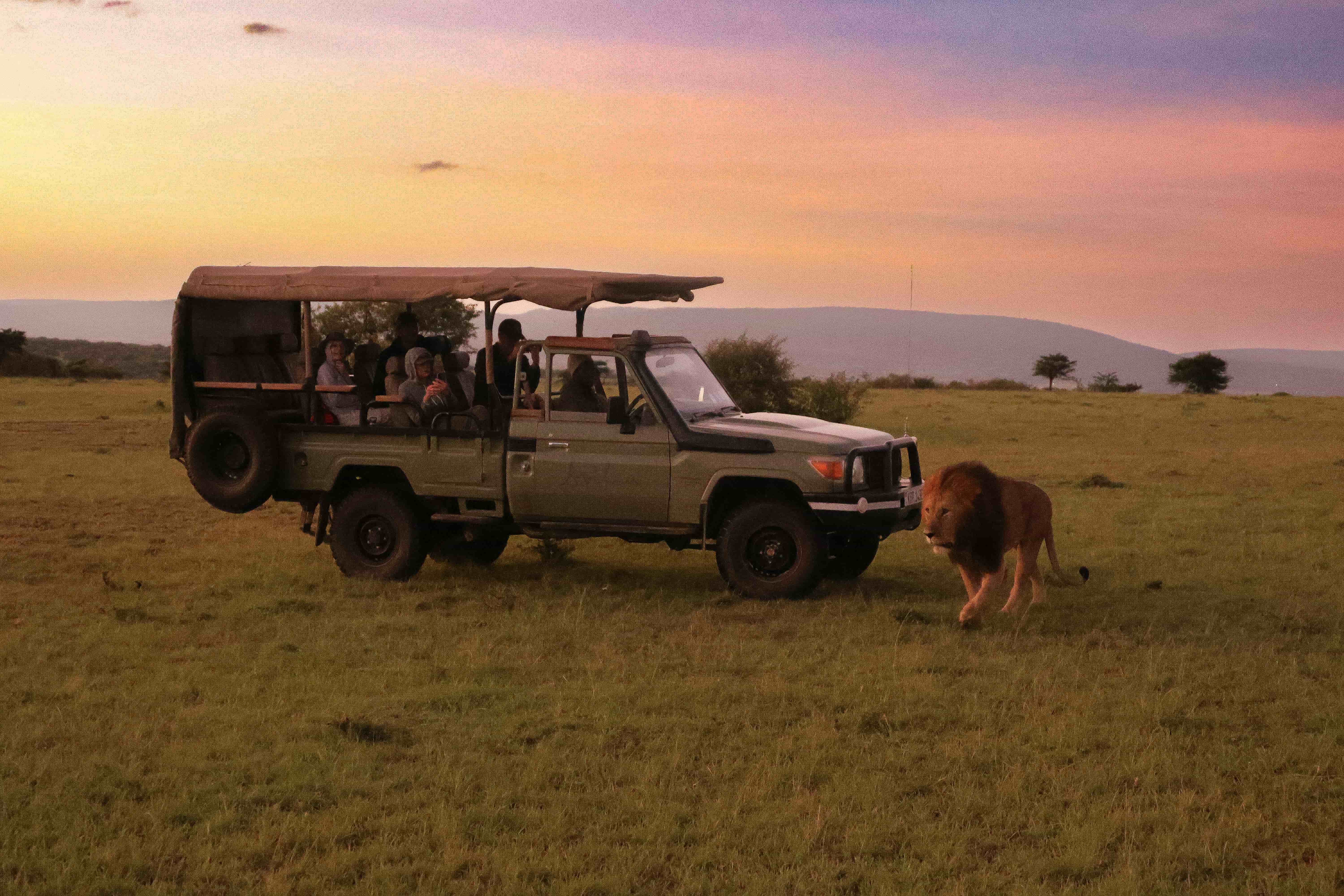 Preview image published by allocentrictours.com