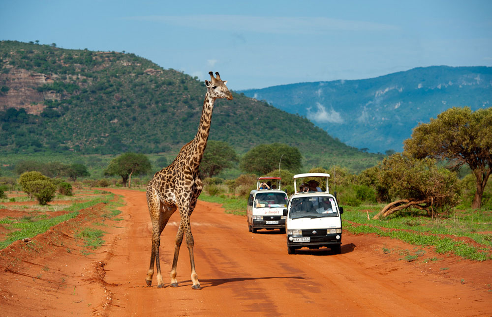 Tsavo East National Park, Kenya
